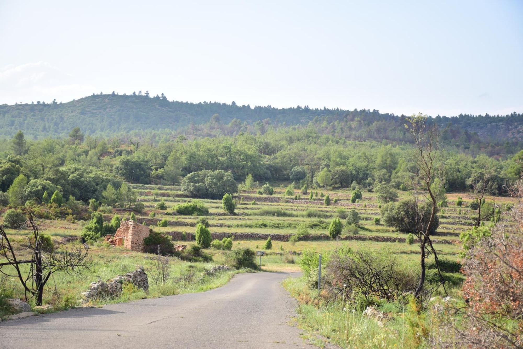 Vila Oasis Rural Los Pastores Exteriér fotografie